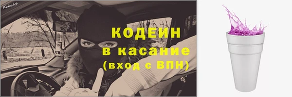 шишки Богородицк